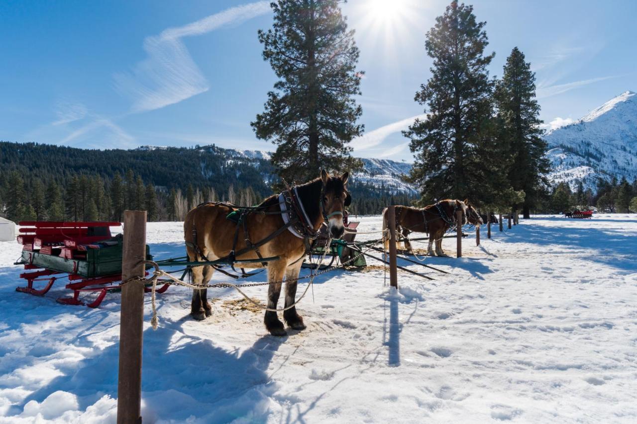 Aspen Suites 505: Enchantment Abode Leavenworth Exterior foto